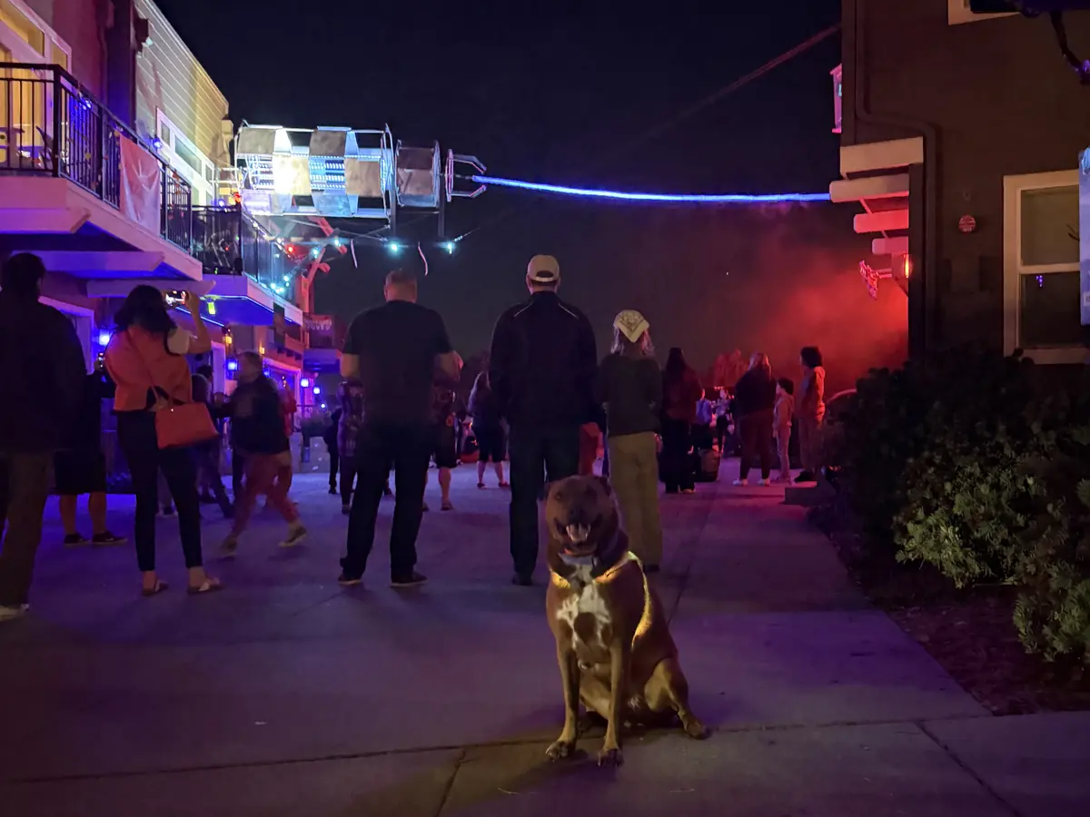 Visitors walking the court at night under the overhead rig, with a dog sitting in the foreground.